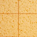 232-02-gabka-hydrochlonna-nacinana-comensal.jpg