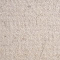 222-00-filc-comensal.jpg